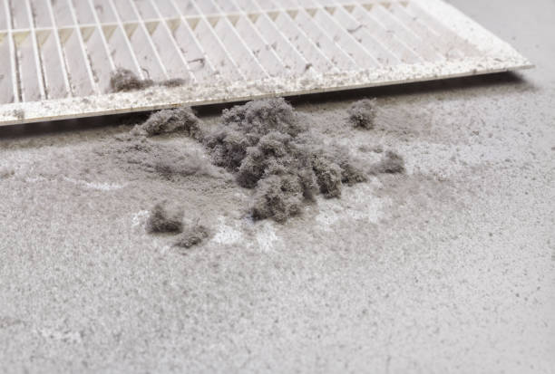 Best Local Air Duct Cleaning Services  in Leo Cedarville, IN