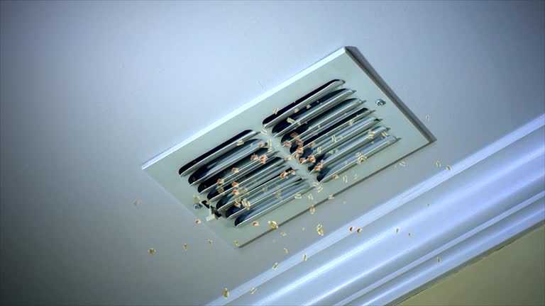 Best Professional Duct Cleaning Services  in Leo Cedarville, IN