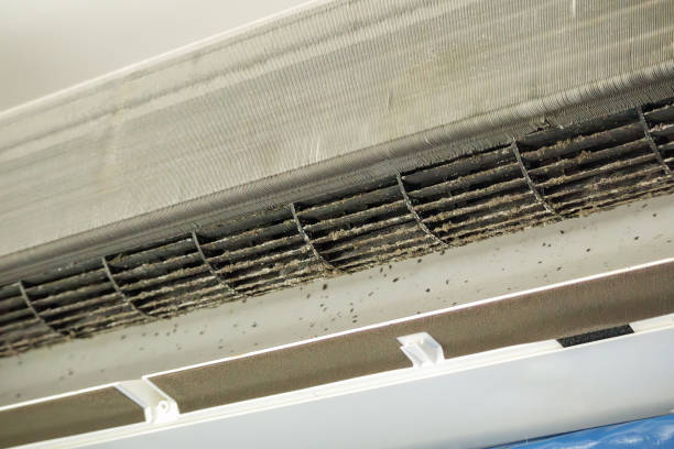 Best Commercial Air Duct Cleaning  in Leo Cedarville, IN